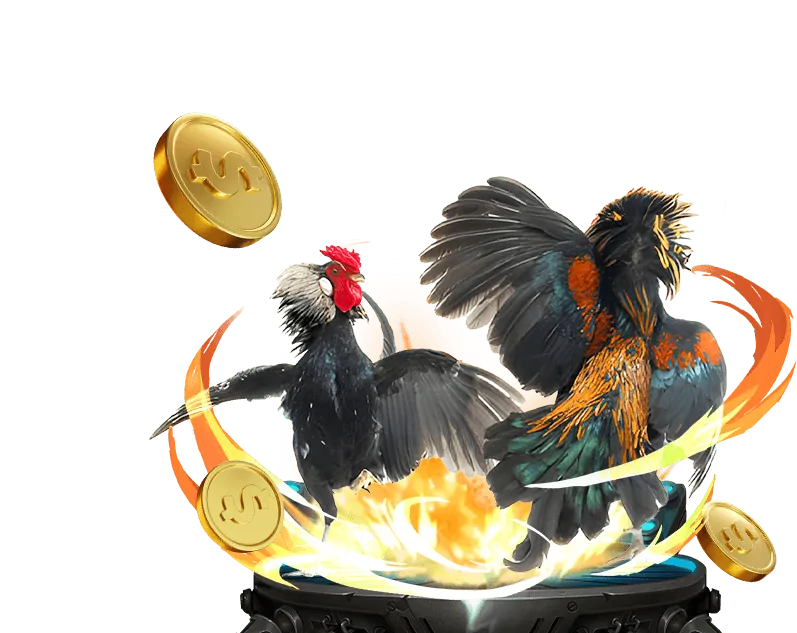 Tổng quan về các lựa chọn cá cược thể thao đa dạng trên nền tảng dola789 link